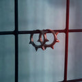 Pain Seeker Hoops